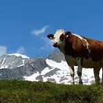 Islitzer Bichl