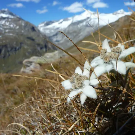 Islitzer 3* Prägraten