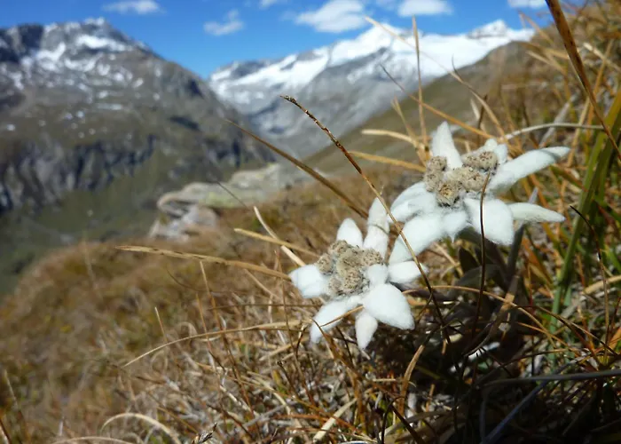 Islitzer 3* Prägraten